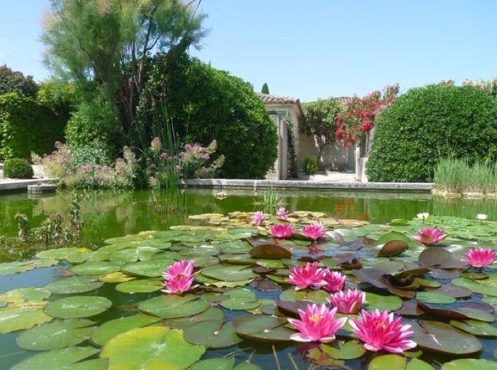 Le Mazet 40 Villa Saint-Rémy-de-Provence Eksteriør bilde