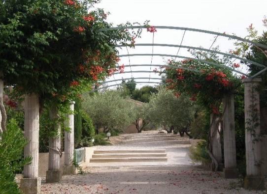 Le Mazet 40 Villa Saint-Rémy-de-Provence Eksteriør bilde