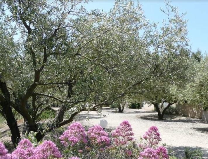 Le Mazet 40 Villa Saint-Rémy-de-Provence Eksteriør bilde