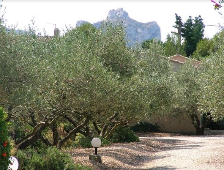 Le Mazet 40 Villa Saint-Rémy-de-Provence Eksteriør bilde